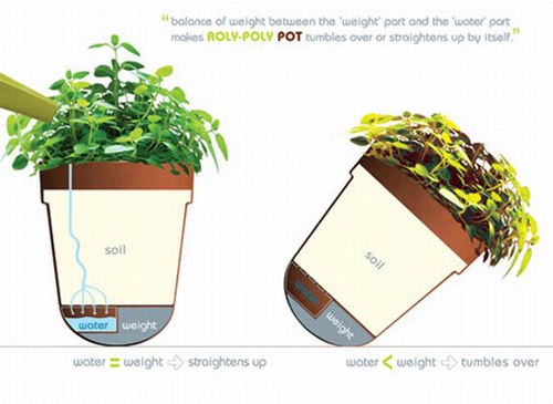 Roly-poly : Le pot de fleur intelligent Roly-poly : Le pot de fleur intelligent