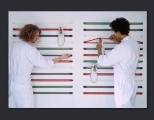 straps nl architect design