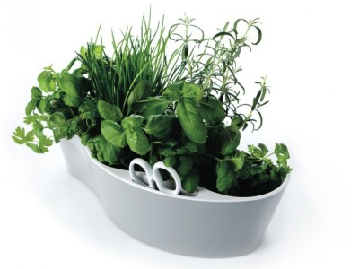 Herb Garden : jardin pour plantes aromatiques