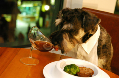 Human & Dog Wine Glass, alice wang