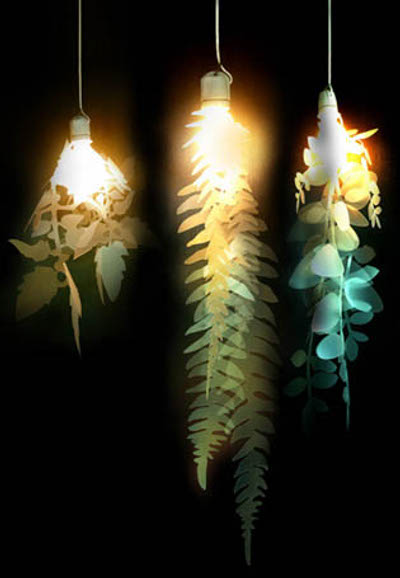 BULB UPGRADER, studio OYO