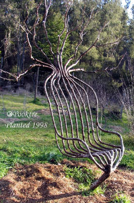Fauteuil vegetal par Peter cook et Becky Northey Fauteuil vegetal par Peter cook et Becky Northey
