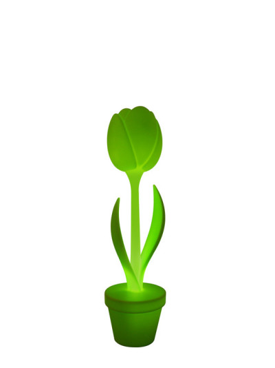 Tulip lumineuse par Moredesign