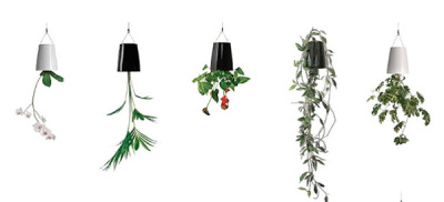 Sky planter, la verdure s'installe partout ! Sky planter, la verdure s'installe partout !