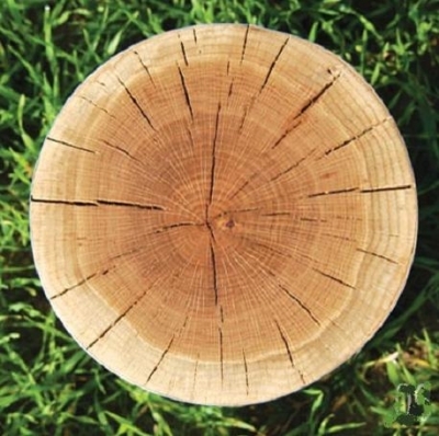 Tabouret zen par Agata Kulik et Pawel Pomorski