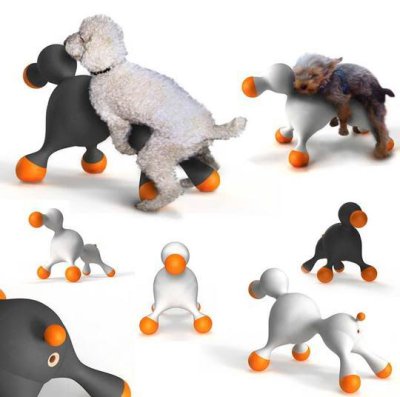 Le sextoy canin Le sextoy canin