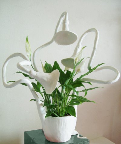 Caroline Schilling, concept Spotlights Caroline Schilling, concept Spotlights