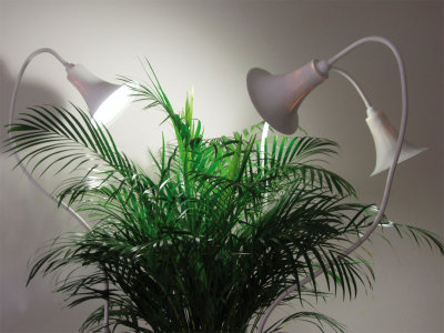 Caroline Schilling, concept Spotlights Caroline Schilling, concept Spotlights