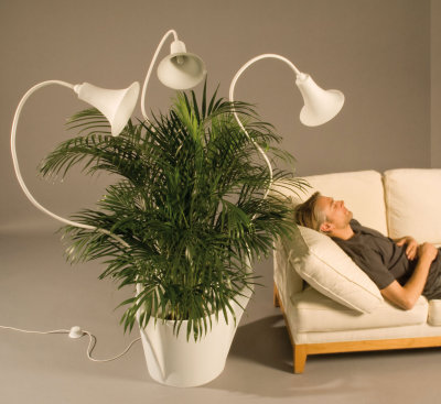 Caroline Schilling, concept Spotlights Caroline Schilling, concept Spotlights