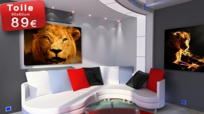 Devilprint impression sur plexi, toile ou l’aluminium