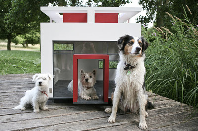 Loft canin par BestFriendsHome, blog-espritdesign.com