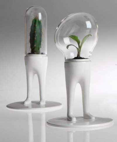 A qui son petit astro-cactus ?