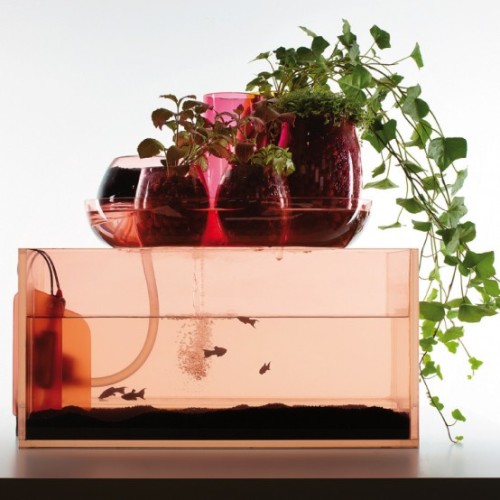 L'Ecosystème idéal par Mathieu Lehanneur mais pas que... L'Ecosystème idéal par Mathieu Lehanneur mais pas que...