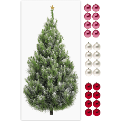 Poster sapin Poster sapin