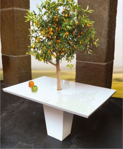 Table manger sous un arbre par Style Mezza Table manger sous un arbre par Style Mezza
