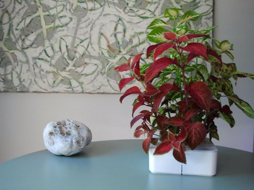 Design et Maîtrise de la Nature : La Click and Grow box