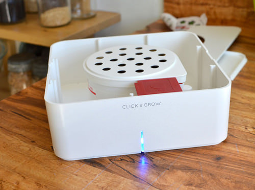 Design et Maîtrise de la Nature : La Click and Grow box